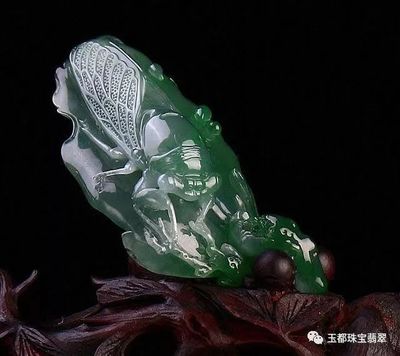 什么樣的翡翠才有收藏價值？